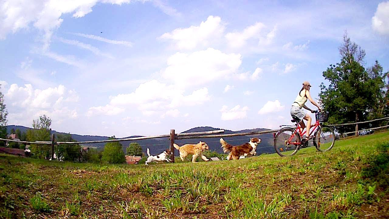 :: Our CLASSIC WALK :: Special for 2000+ fans on Facebook