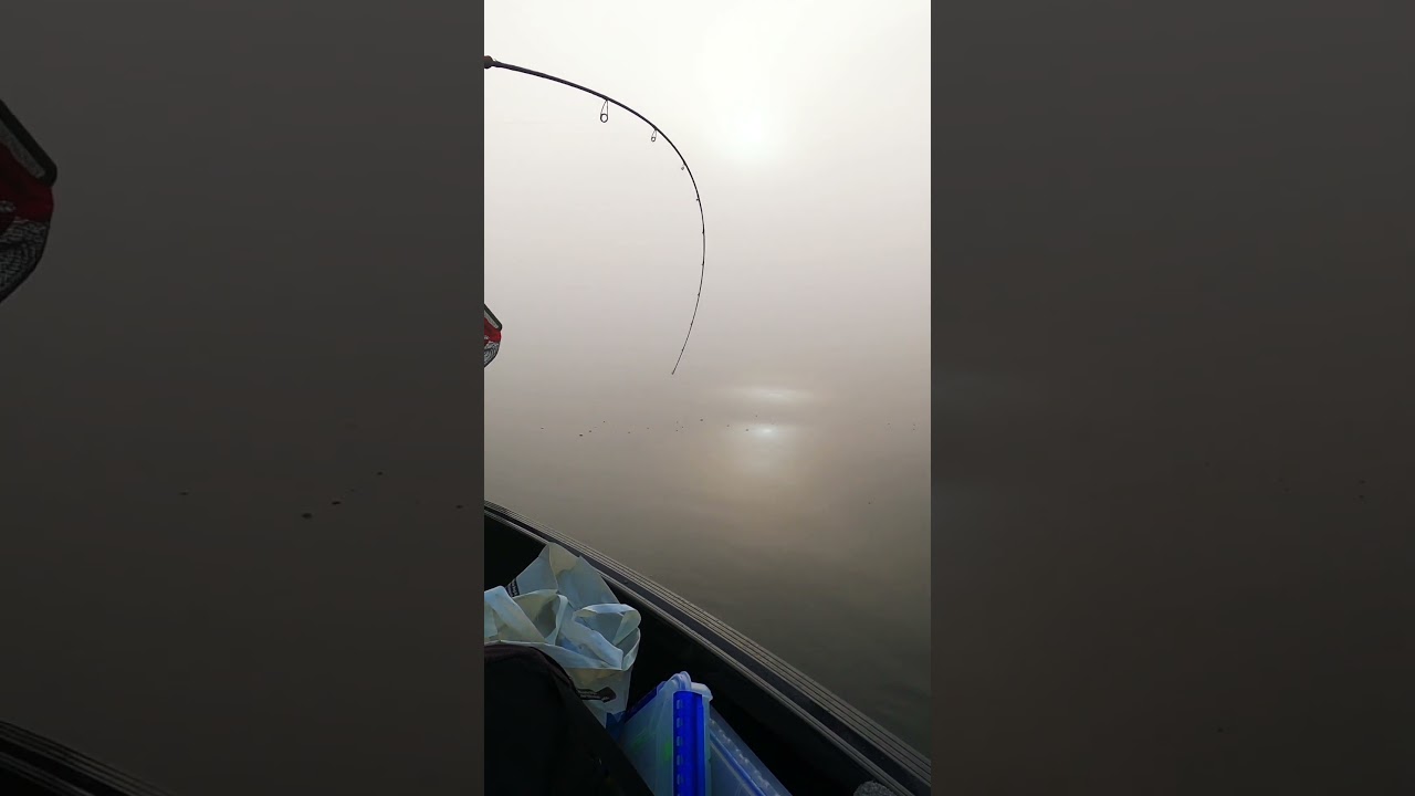 Big 20lb + on light gear -  beefed up predator fishing in Ireland 