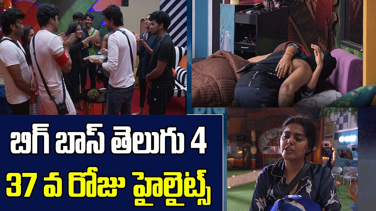 Bigg Boss Telugu season 4 | Episode-37 Highlights | BB4 |  Sohel And Kumar Sai | Bhumi Tv