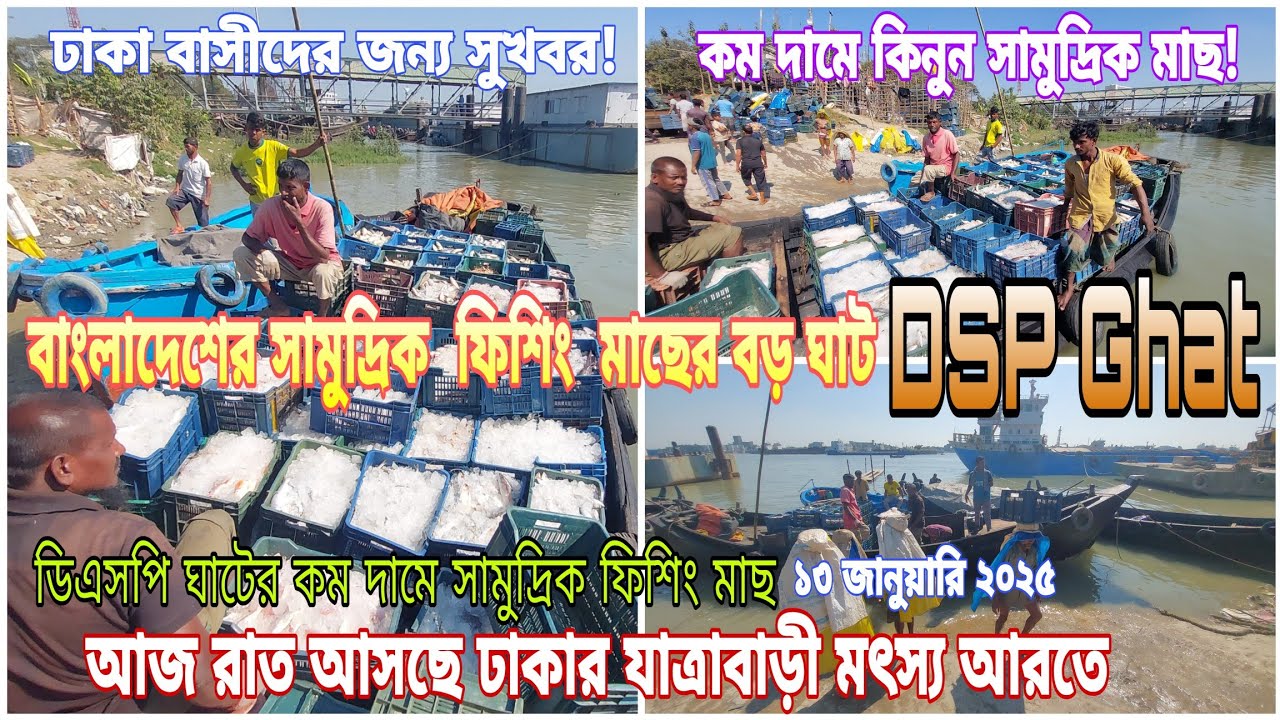 কম দামে মাছ কিনুন!বাংলাদেশের মৎস্য জগতে জাহাজের কম দামি সামুদ্রিক ফিশিং মাছের ডিএসপি ঘাটDSP Fishghat