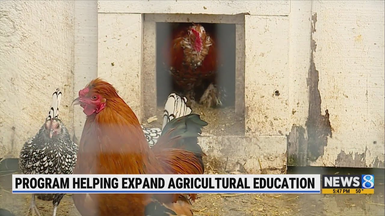 Program helping expand agricultural education