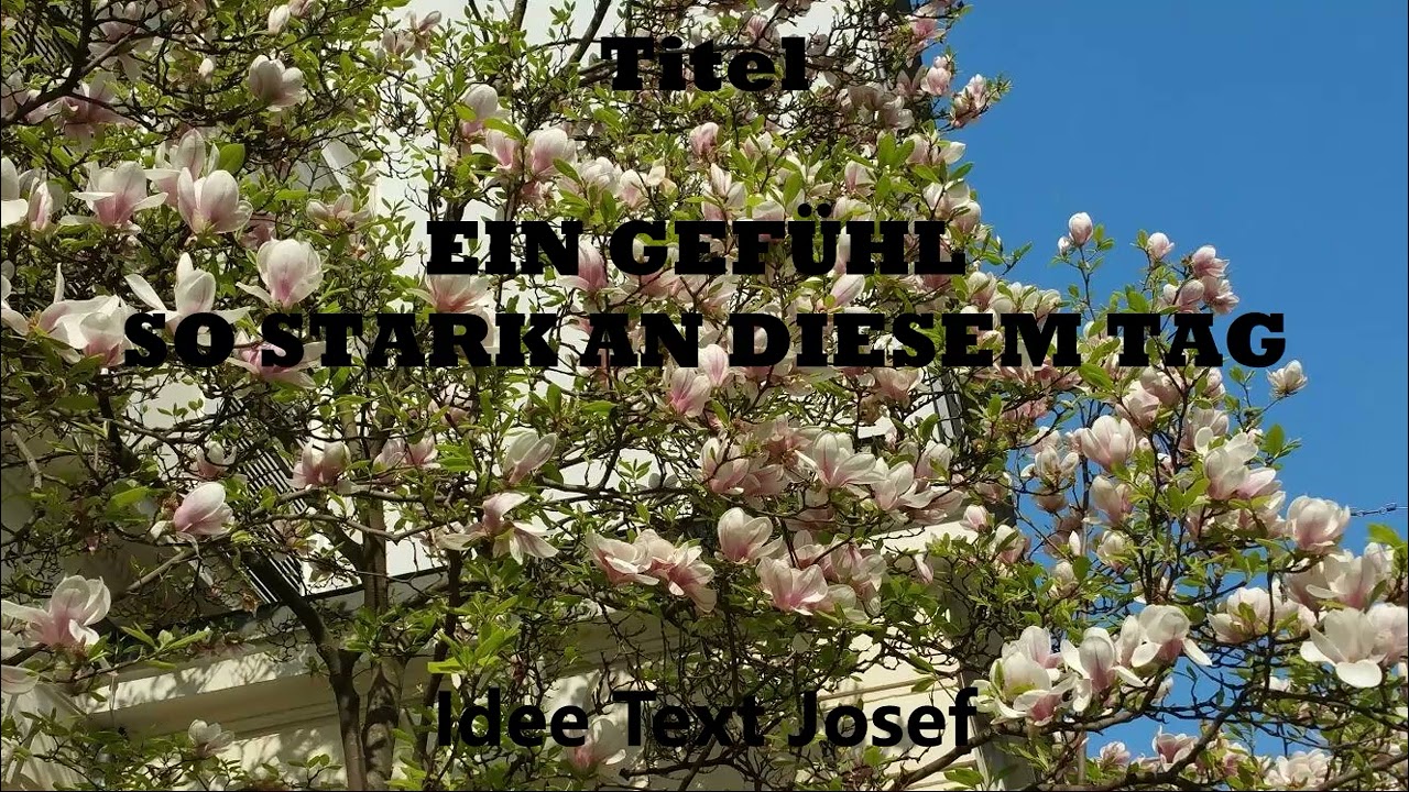 Ein Gefühl so stark an diesem Tag