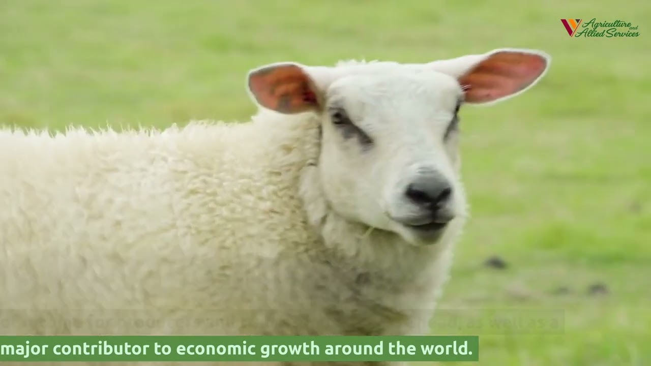 Top Profitable Niches in Agriculture  and Agro Allied Industry 2023