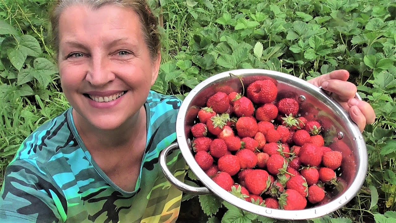 JAHODOVÁ MARMELÁDA (jahodový džem) s vanilkou a citronem - recept raz dva hotový