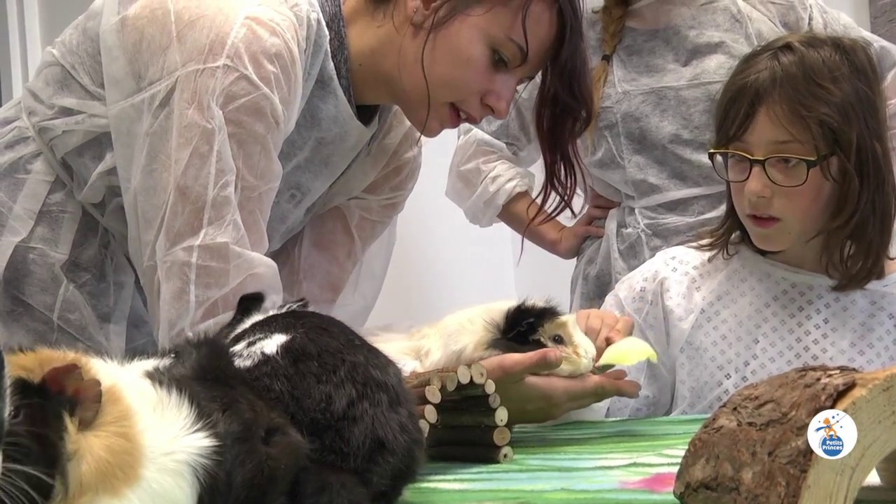 Zoothérapie au CHU Dijon Bourgogne avec l'Association Petits Princes