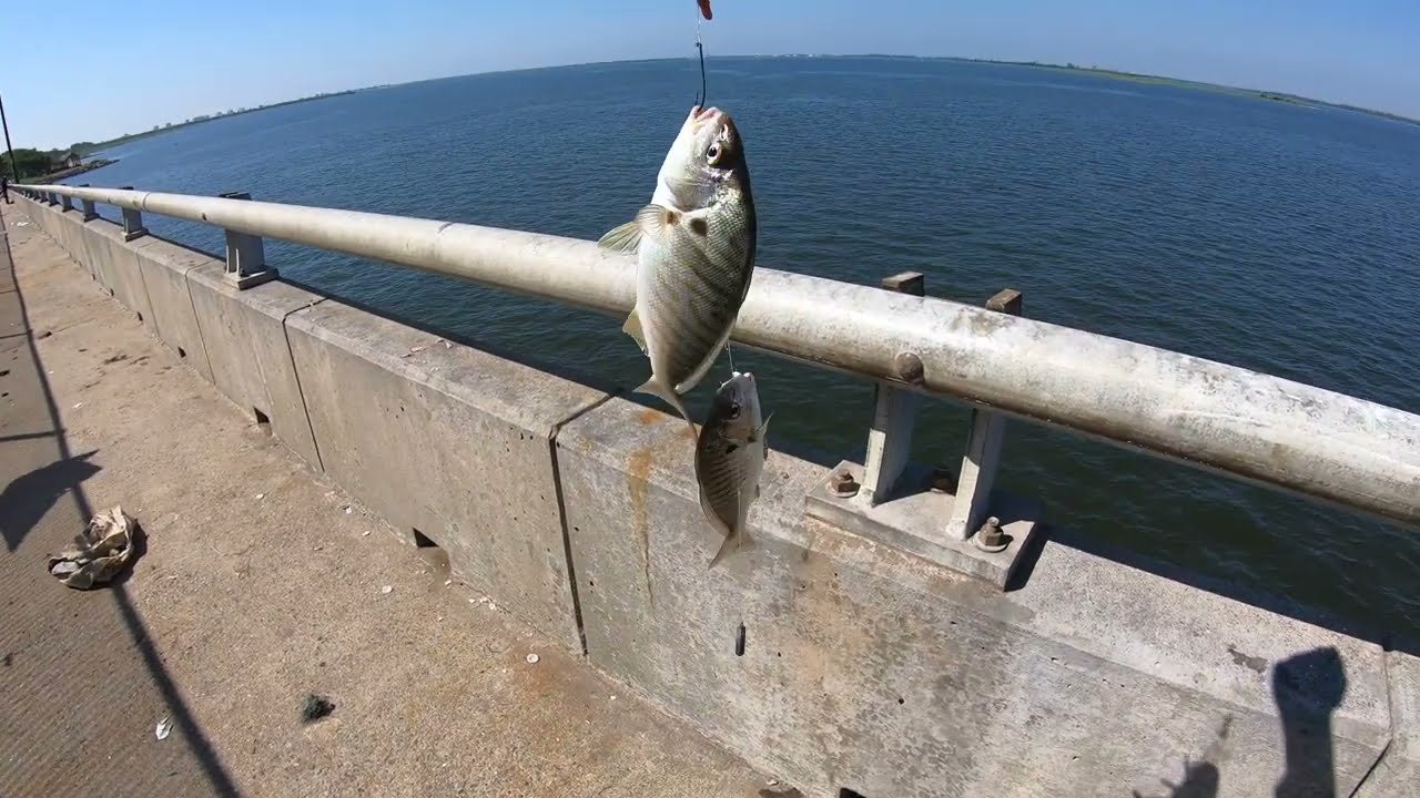 Jamaica Bay Bridge Fishing in Queens NY