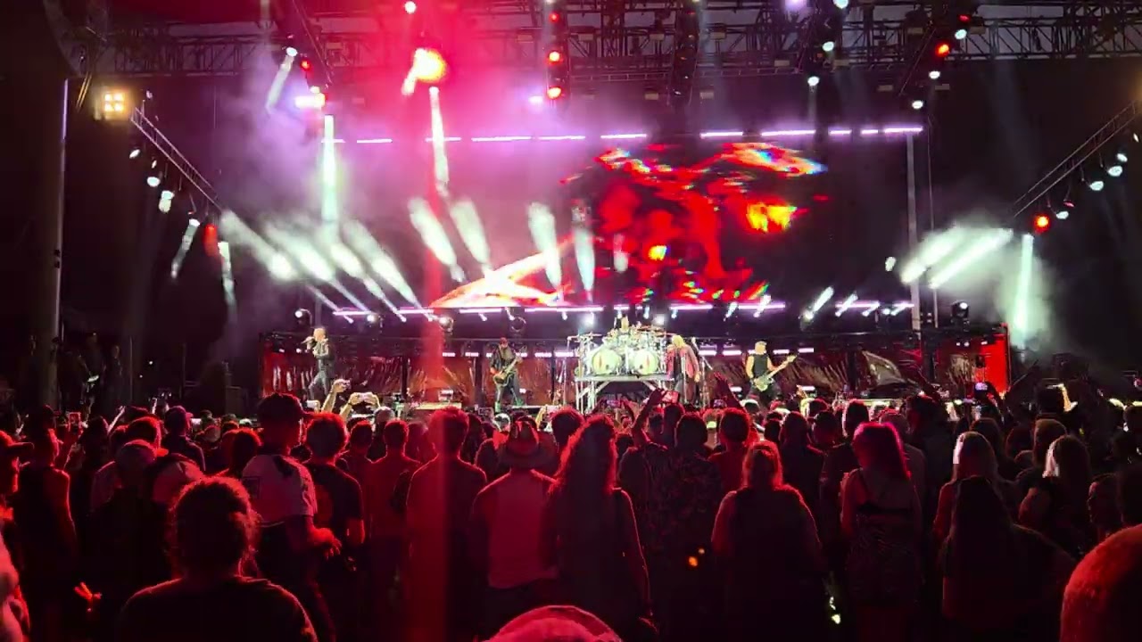 Three Days Grace - Animal I Have Become (Live)