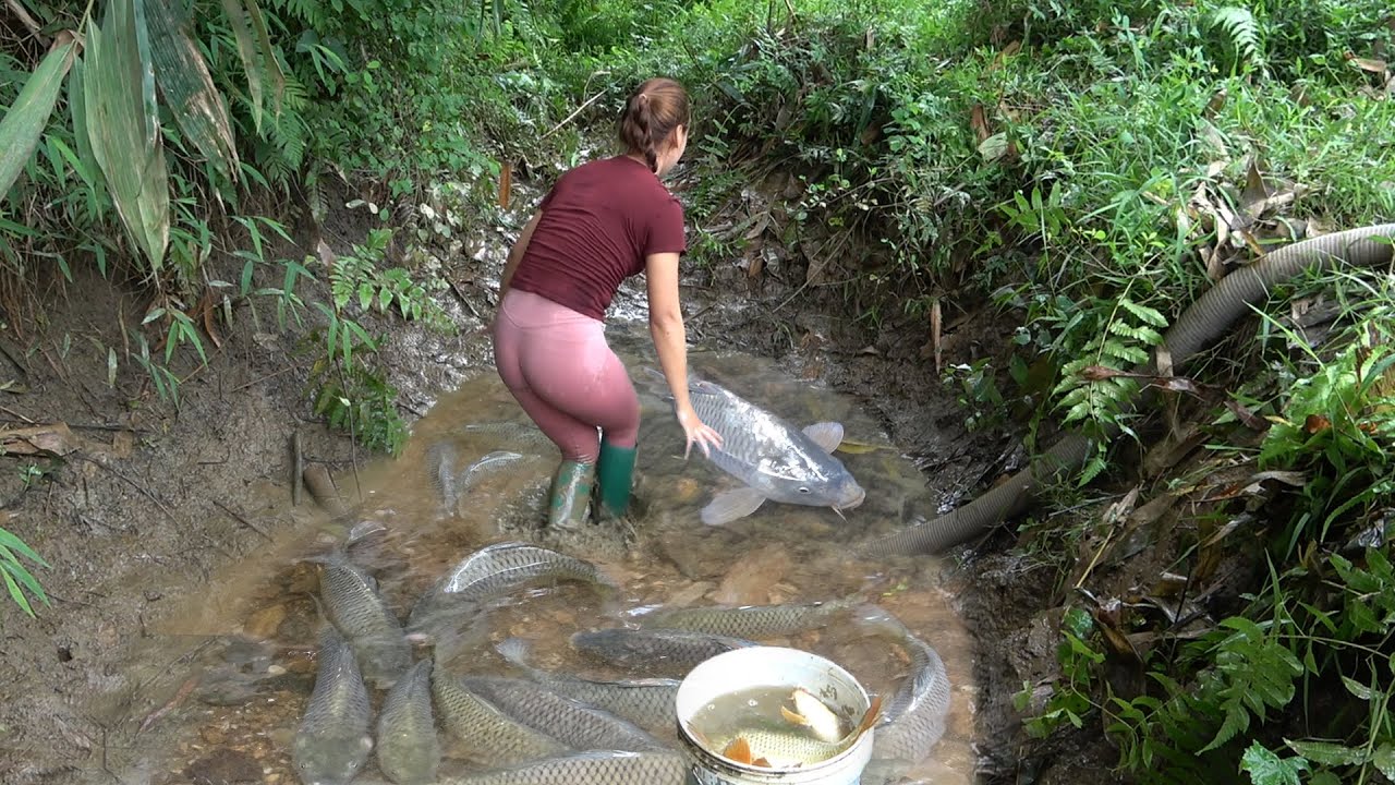 Gorgeous Fishing Girl, Use Pump Sucks Water Outside The Lakes, Catch a Lots of Fish In a Puddle Dry