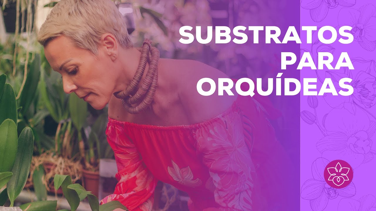 Substratos para Orquídeas