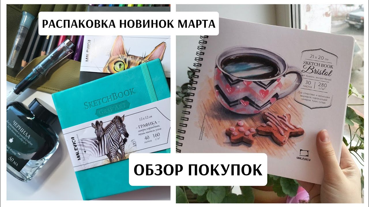 ОБЗОР покупок за МАРТ / НОВИНКИ брендов / скетчбуки / чернила / карандаши /распаковка