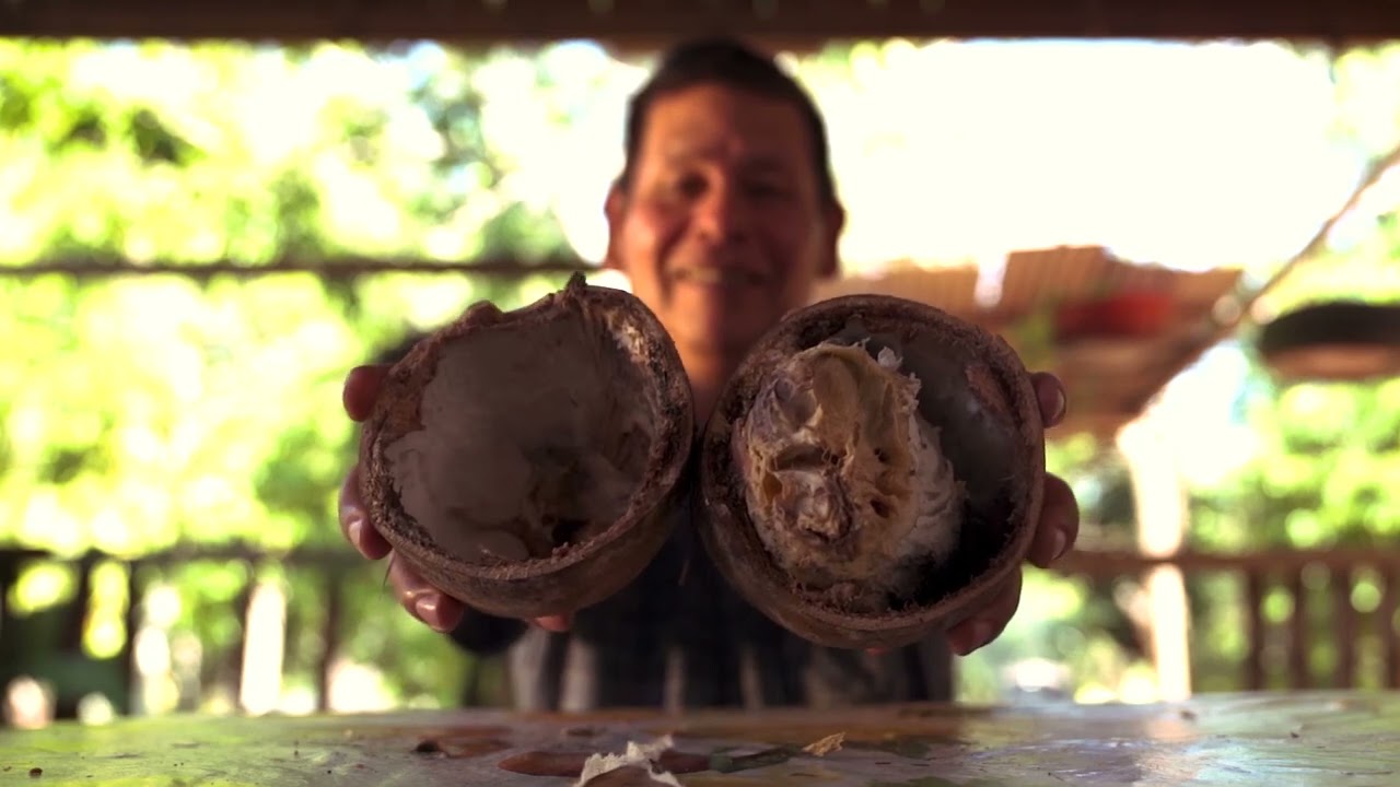 Copoazú - Frutos Amazónicos para la conservación