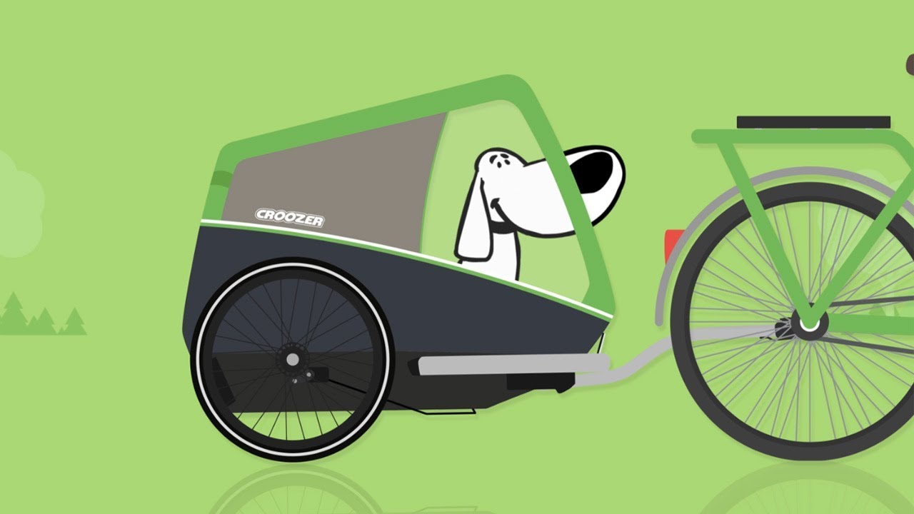 How can I help my dog get used to the bike trailer?