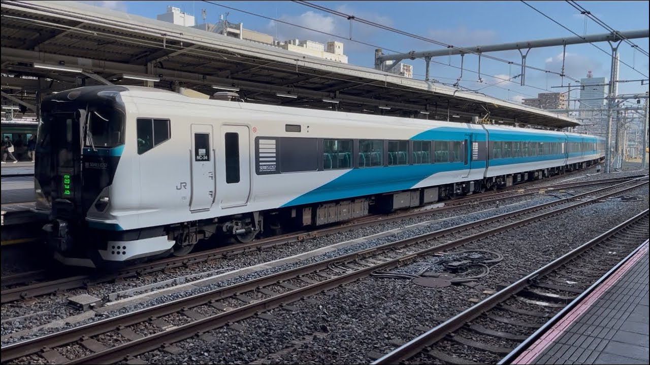 E257系2500番台NC-34編成+E257系2000番台NA-06編成が回送列車として大宮駅9番線に到着停車するシーン (2026.3.10.15:26)