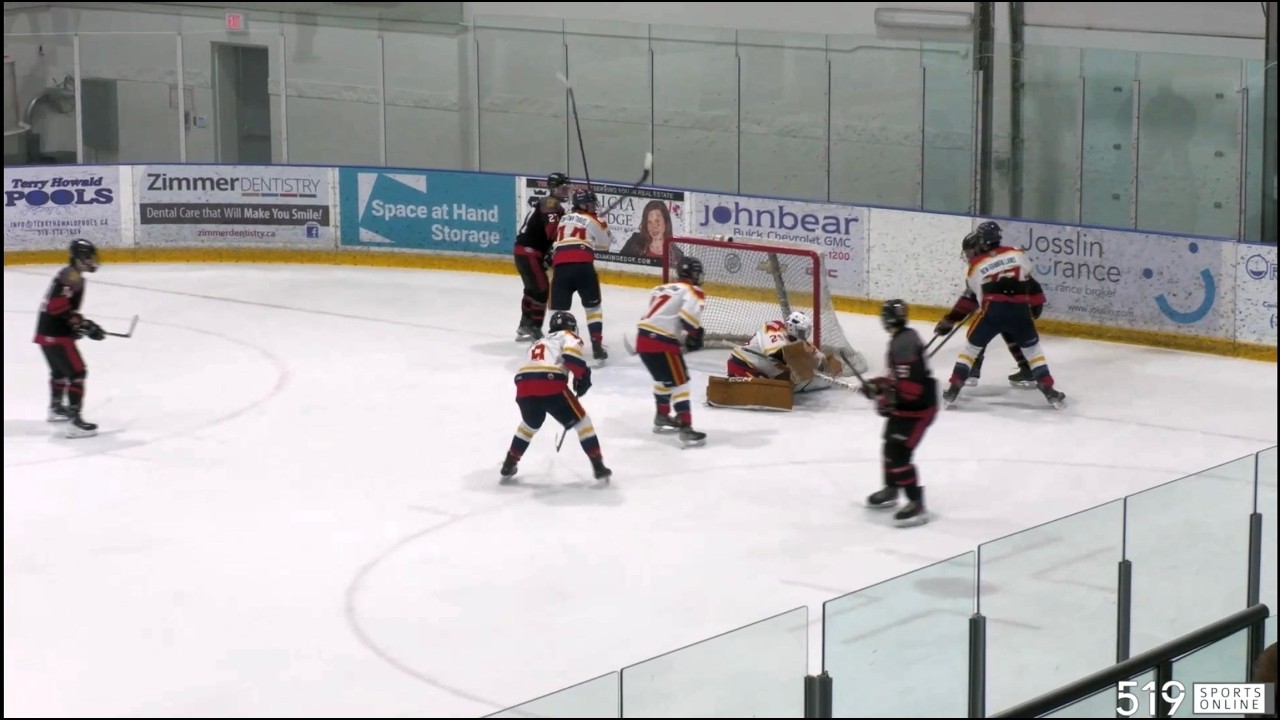 PJHL - Wellesley AppleJacks против New Hamburg Firebirds