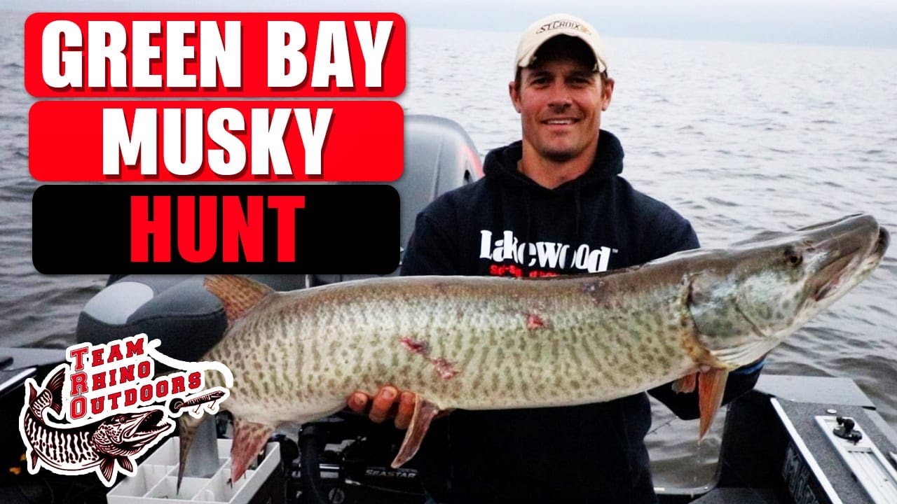 Green Bay Musky Hunt - Musky Fishing