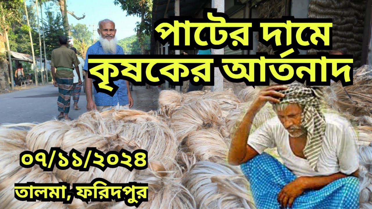 07/11/2024  আজকের পাটের বাজার দর | jute wholesale price today Talma bazar, Faridpur Bangladesh.