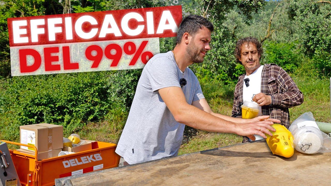 TRAPPOLA per MOSCA dell'OLIVO