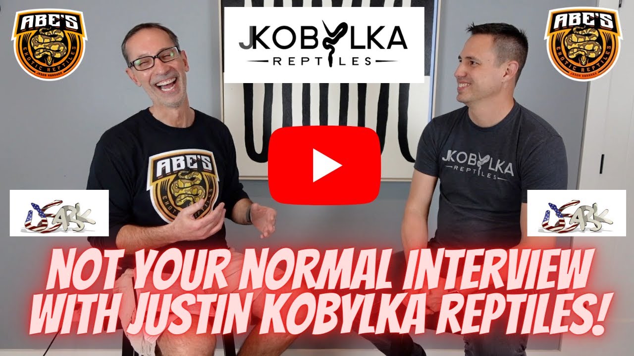 Not Your Normal interview with Justin Kobylka Reptiles