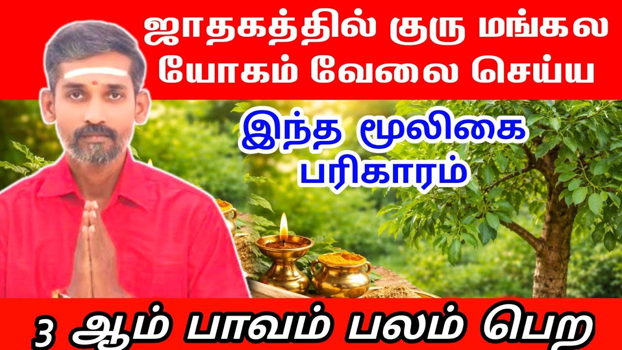 உங்கள் ஜாதகத்தில் குரு மங்கல யோகம் வேலை செய்ய இந்த மூலிகை | guru mangala yogam