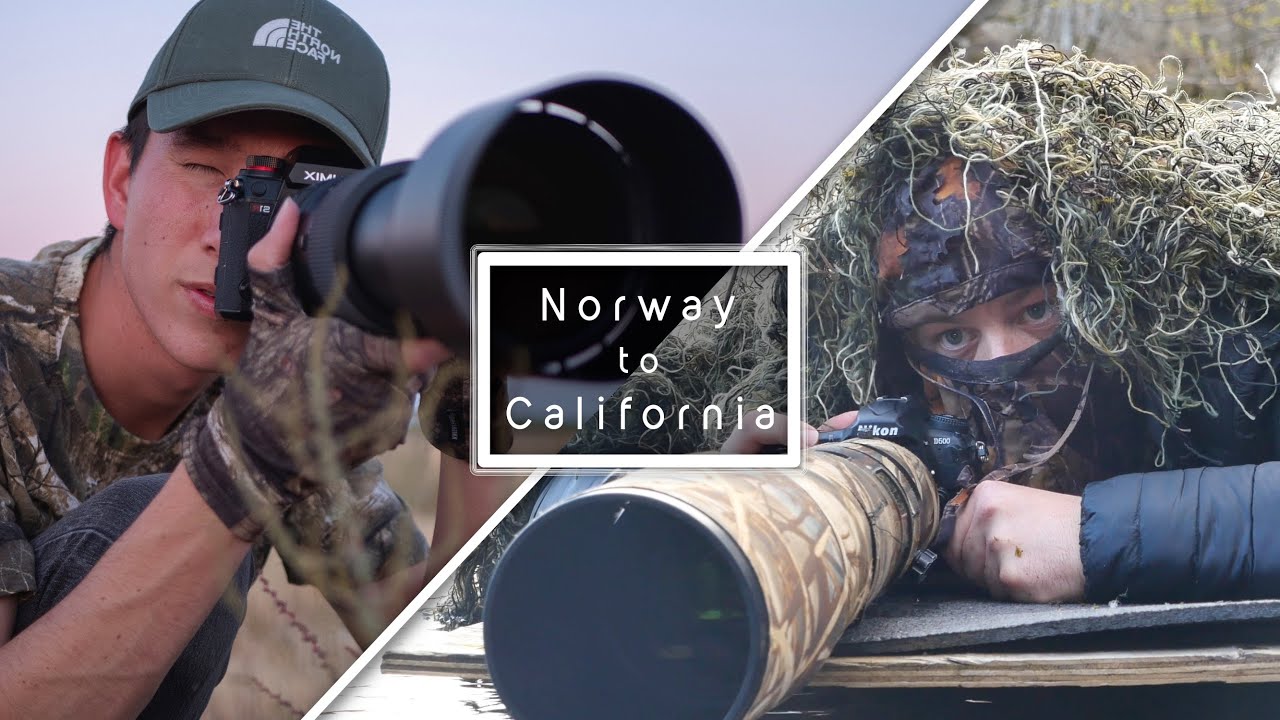 Wildlife Photography Competition | ft. Trond Westby