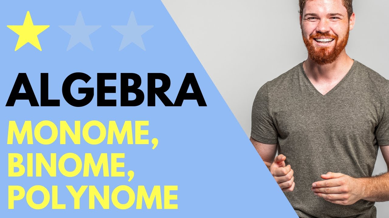 Monome, Binome, Polynome | Grundbegriffe der Algebra. Definition + Beispiele