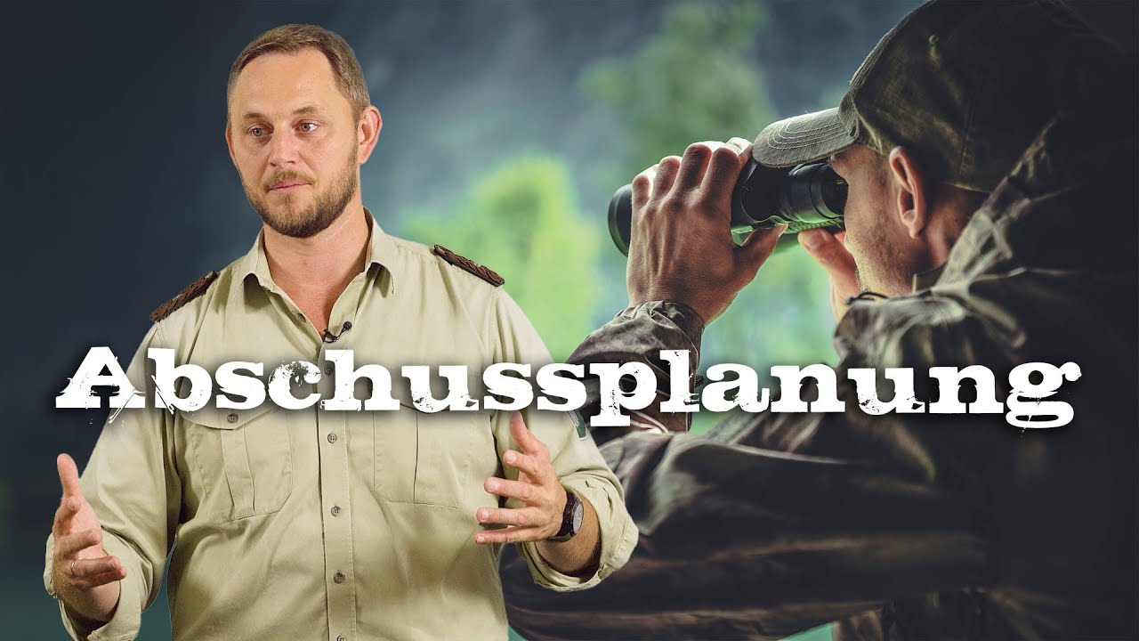 Abschussplanung