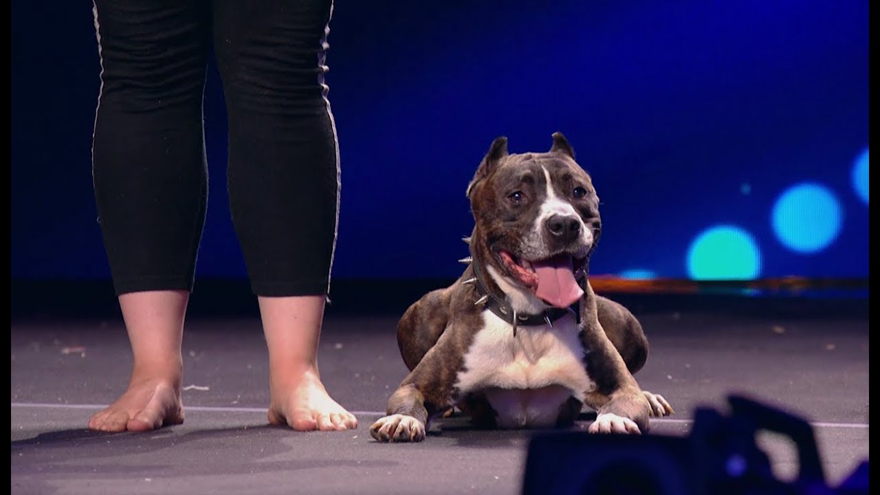 ČESKO SLOVENSKO M&Aacute; TALENT 2018 - X&eacute;nia Polaczykov&aacute; & Leo