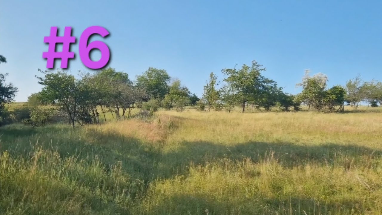 O plimbare atipică