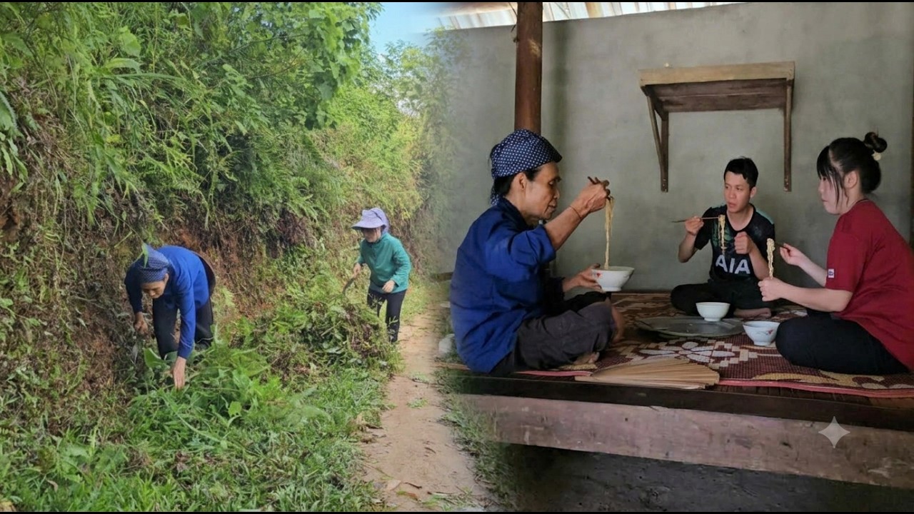 Family Breakfast and Clearing the Road: A Peaceful Day