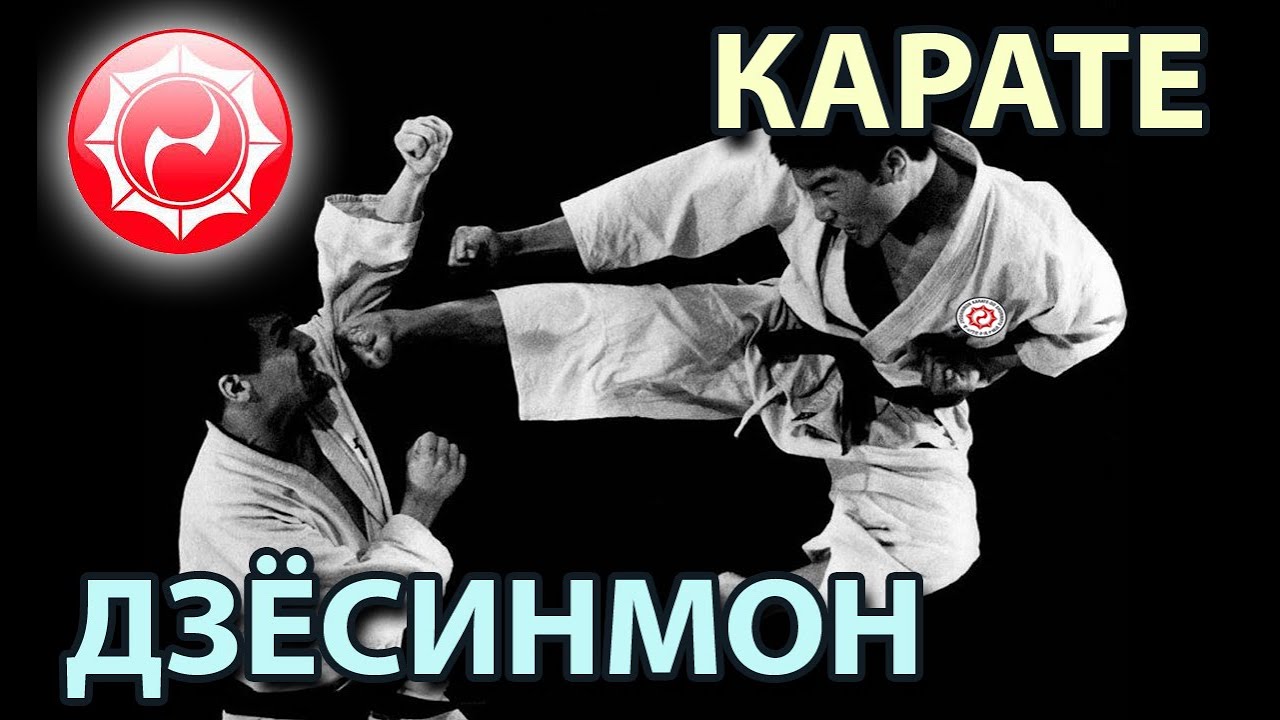 ДЗЁСИНМОН: современное Карате древнего стиля.