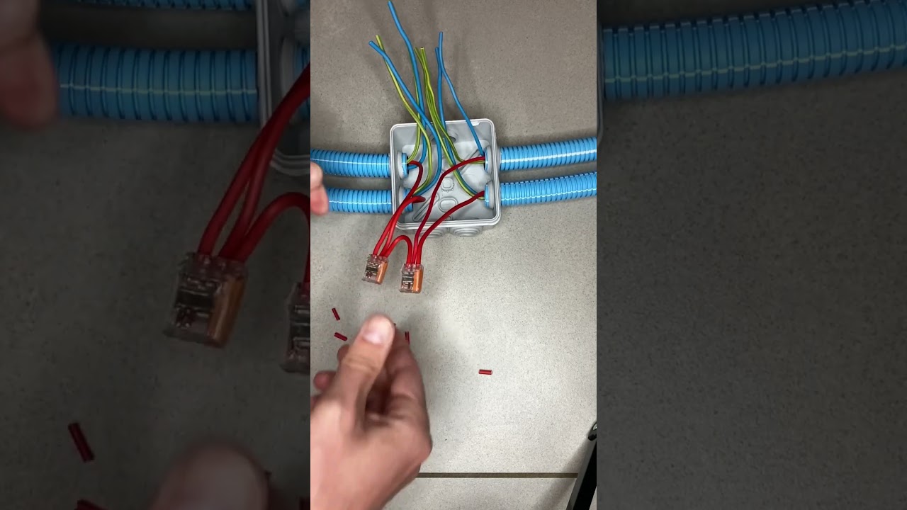Erreur de d&eacute;butant en &eacute;lectricit&eacute; (connexion avec wago dans bo&icirc;te de d&eacute;rivation)