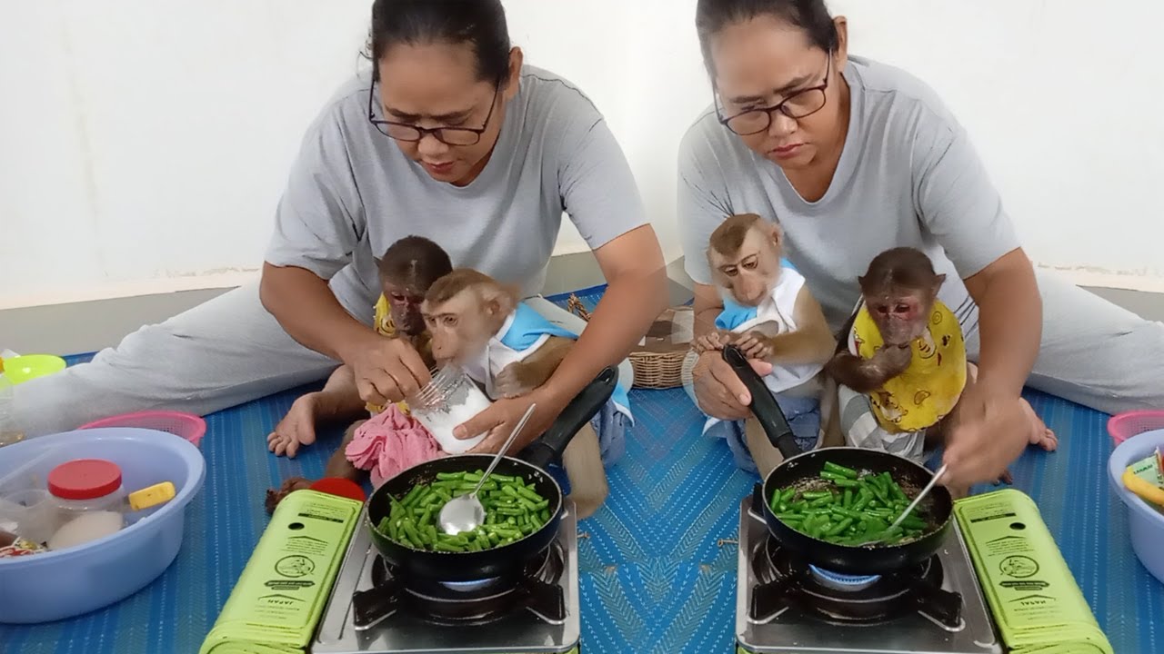 Kind mom make Delicious Food for her cutie |   #cute #monkey #cutemonkey #cuteanimals