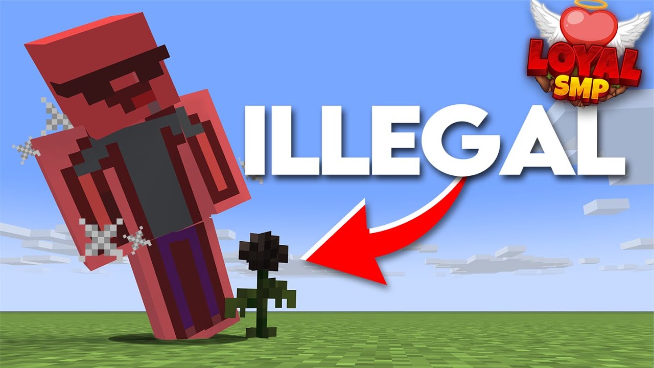 I Killed A Stacked Player With A Flower... Loyal Smp
