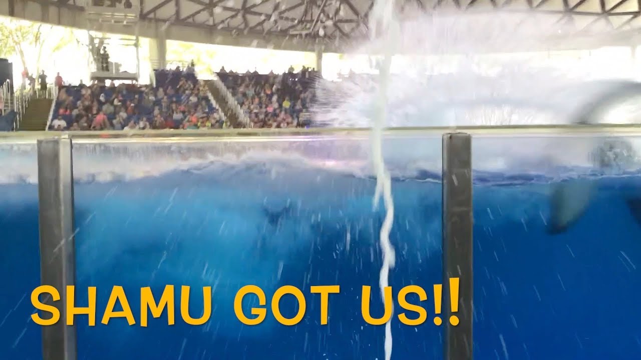 SHAMU GOT US!! | SEAWORLD SAN ANTONIO