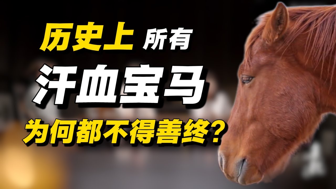 历史上真正的汗血宝马都活不长？千年来无人敢说的秘密！#经济 #推薦 #熱門 #經濟 #圆桌派 #纪实 #时间 #历史 #文化 #聊天 #新闻 #心理健康