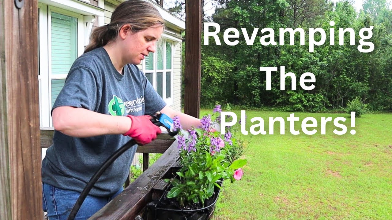 Planting up Planters, Revamping the Porch of Death 2025