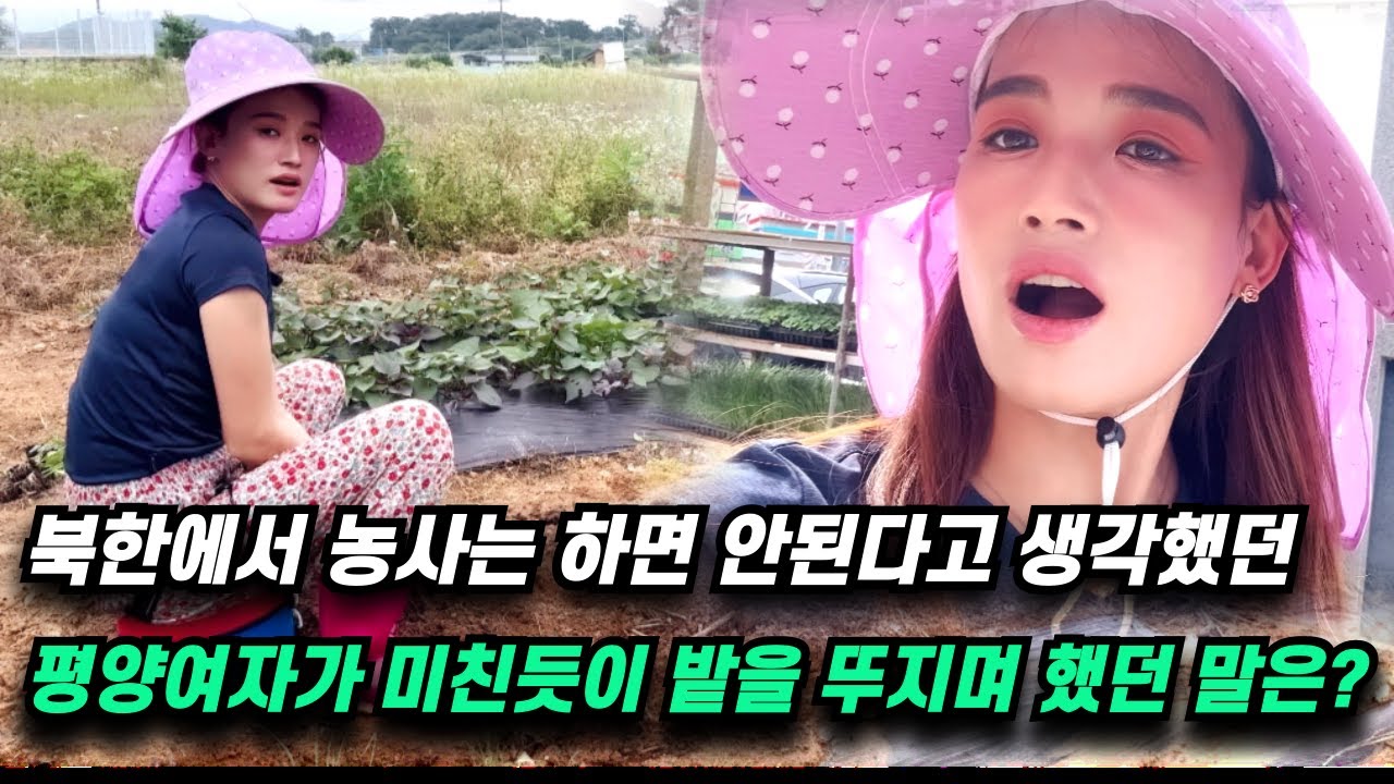 북한에서는 절대 하면 안된다고 생각했던 농사를 이렇게 열심히 하게 될 줄 몰랐네요!