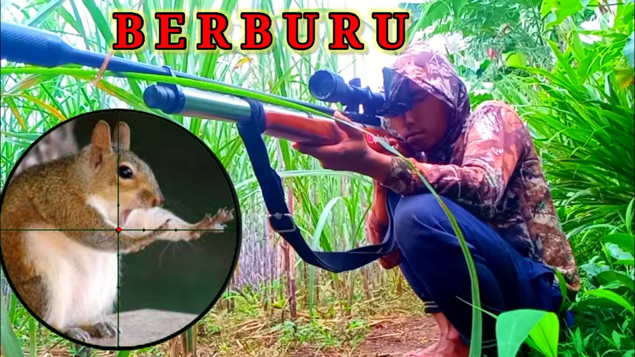 Berburu ayam hutan tupai dan tekukur