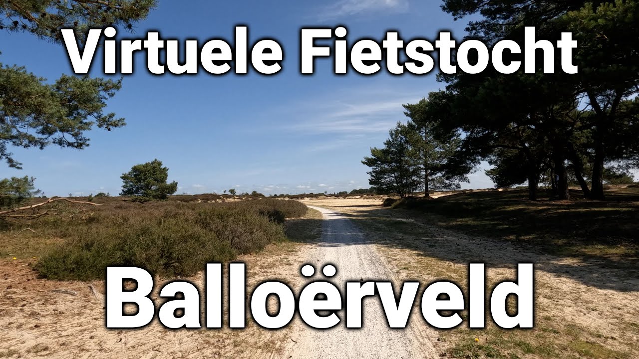 Virtuele Fietstour Balloërveld 🚴‍♂️ | Fiets Mee op de Hometrainer! [4K]