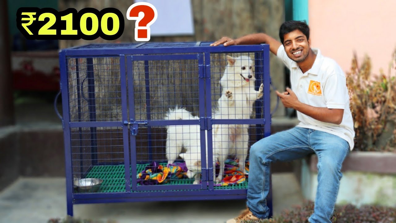 This modern dog cage Price, speciality and making guide by pomtoy anurag.
