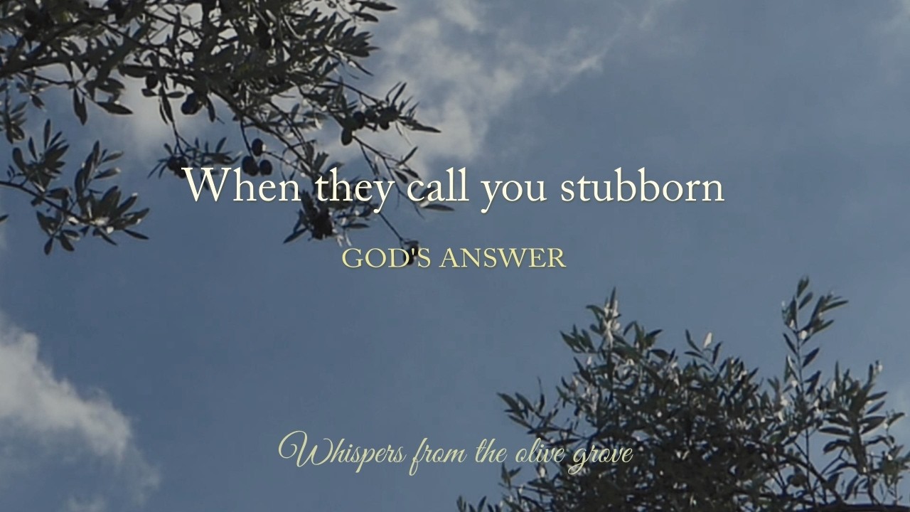 When they call you stubborn 🎧 Whispers from the olive grove (Audio)