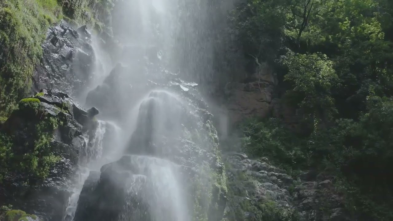 Relaxing Piano Music with Nature Scenery | Sleep, Study & Relax
