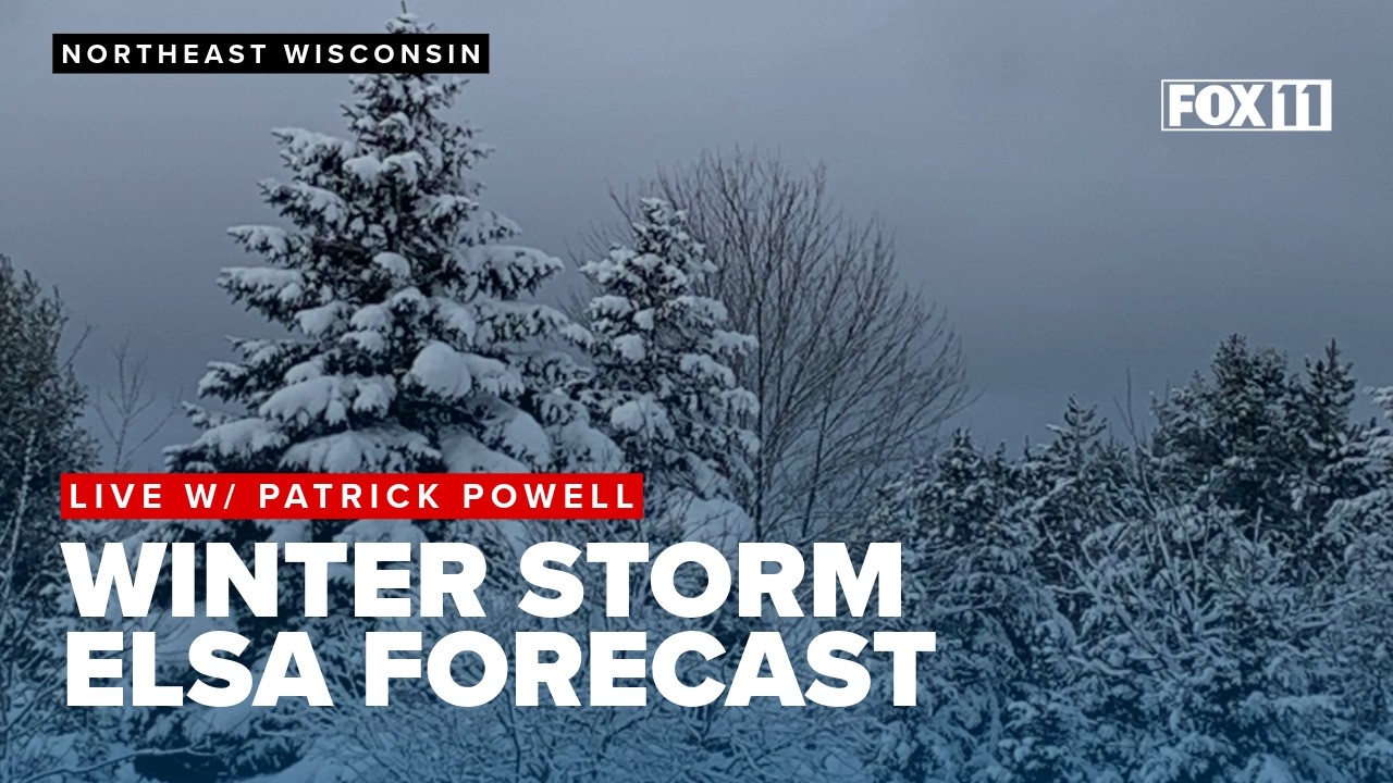 Winter Storm Elsa update for Friday Night