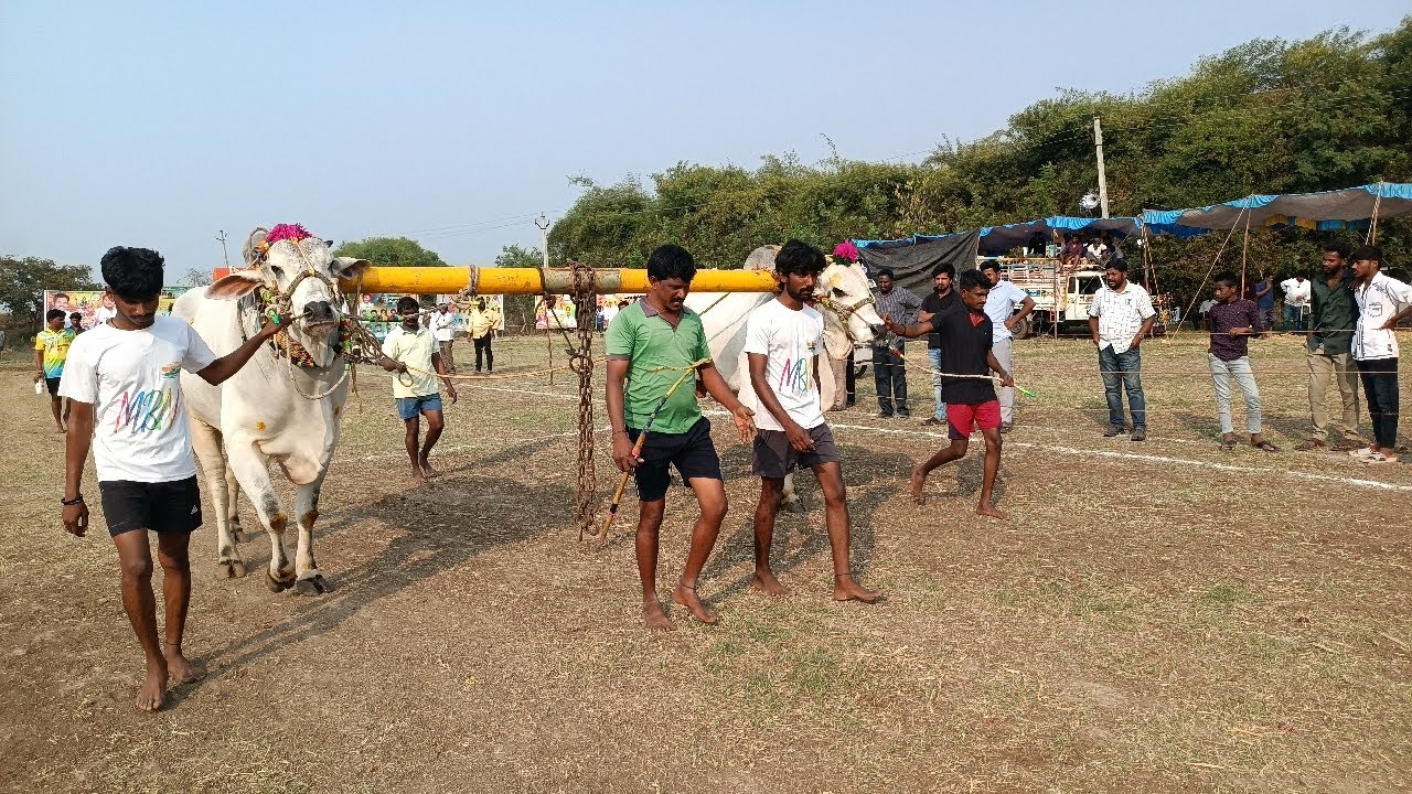 లింగరెడ్డిగూడ గ్రామపంచాయతీ సాయిరెడ్డి గూడ గ్రామంలో న్యూ కేటగిరి బండలాగుడు పోటీలు 8వ జత