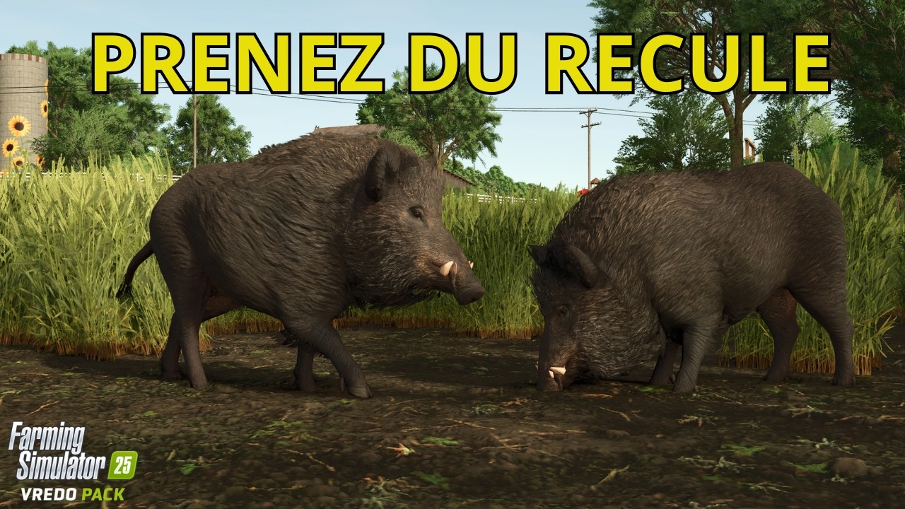 FS 25/ DLC /PRENEZ DU RECULE
