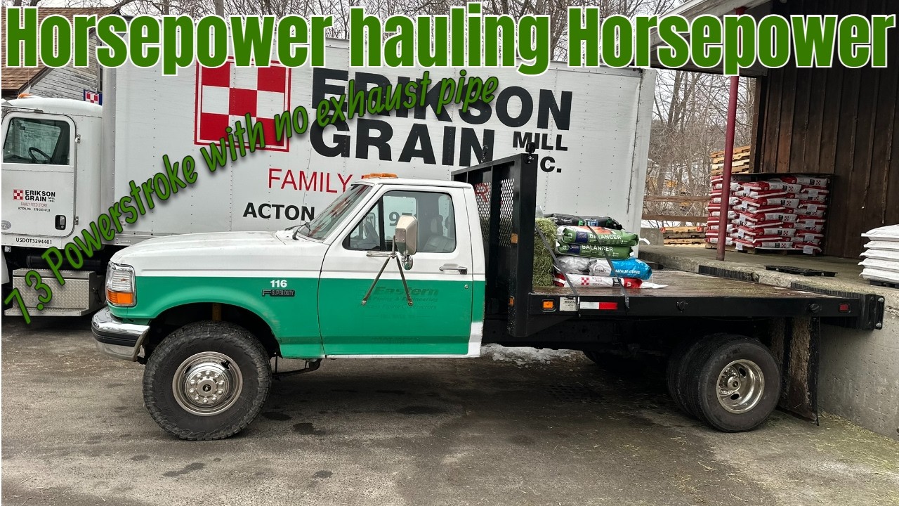 Hauling Horse Food with the F-Superduty | 7.3 Powerstroke & ZF5 ASMR