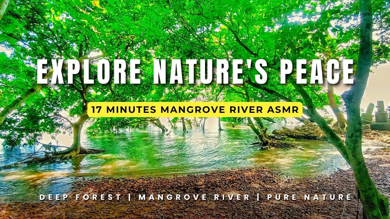 Whispers of the Mangrove River | 17 Minutes of Pure Nature ASMR Bliss