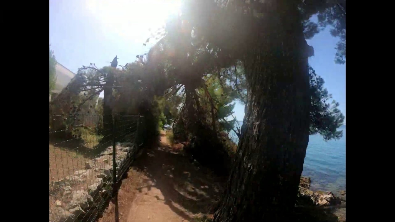 Kožino seaside walk revisited, Zadar, Croatia, 12th August 2019.