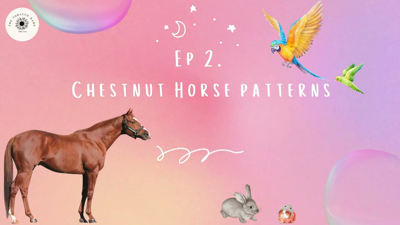 Ep  2 Chestnut Horse Patterns