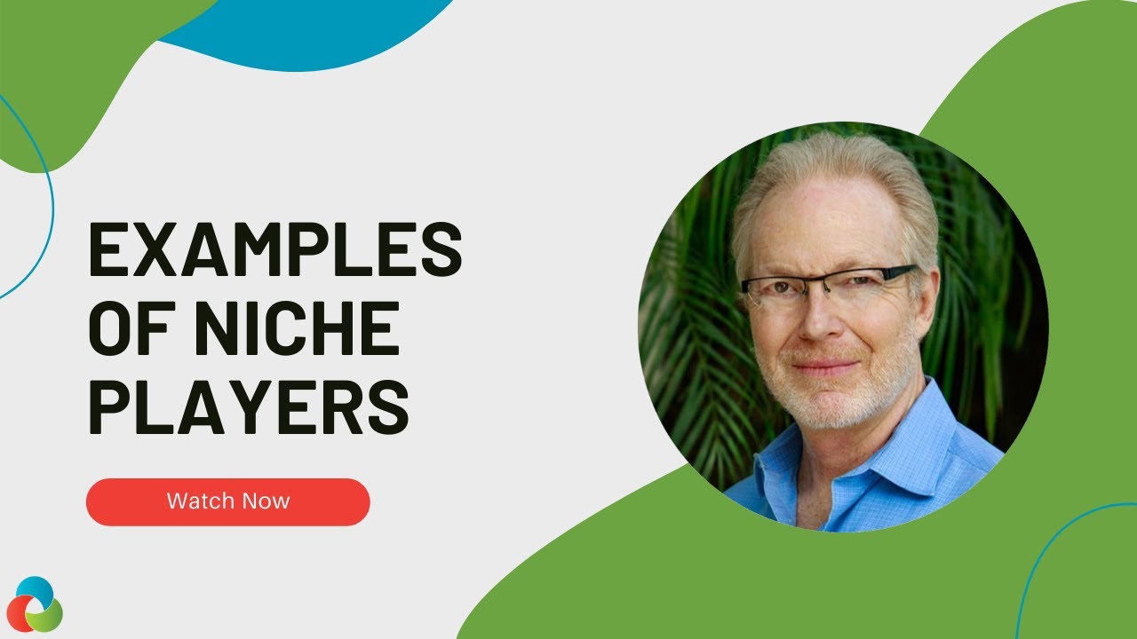 Examples of Niche Players